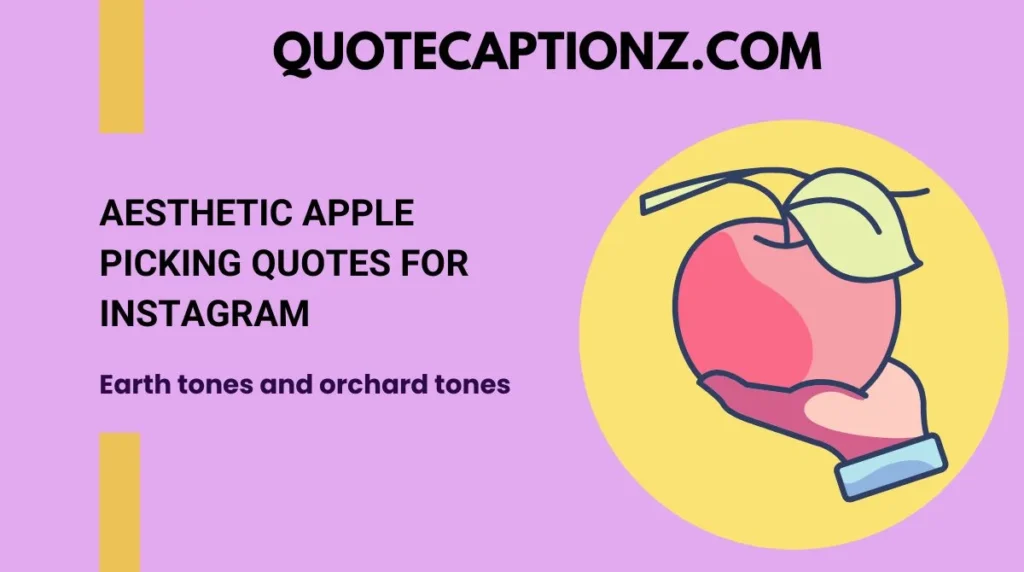 Aesthetic Apple Picking Quotes for Instagram