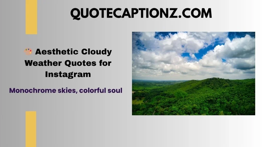 Monochrome skies, colorful soul