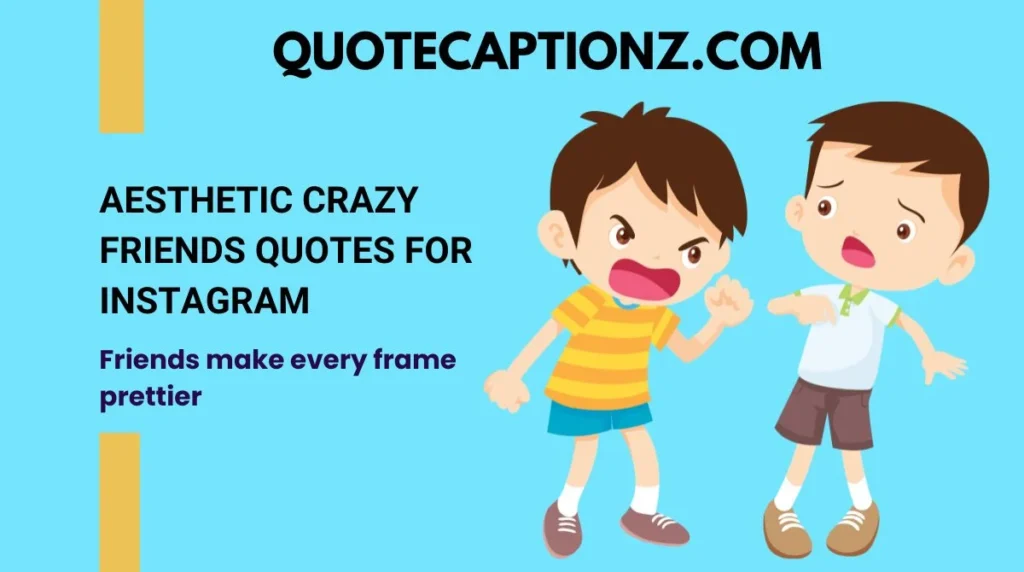 Aesthetic Crazy Friends Quotes for Instagram