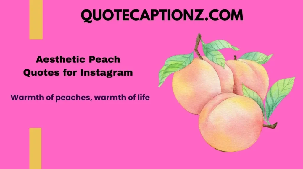 Warmth of peaches, warmth of life