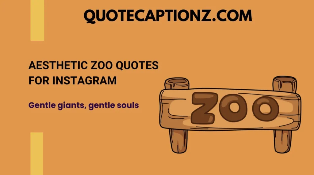 Aesthetic Zoo Quotes for Instagram