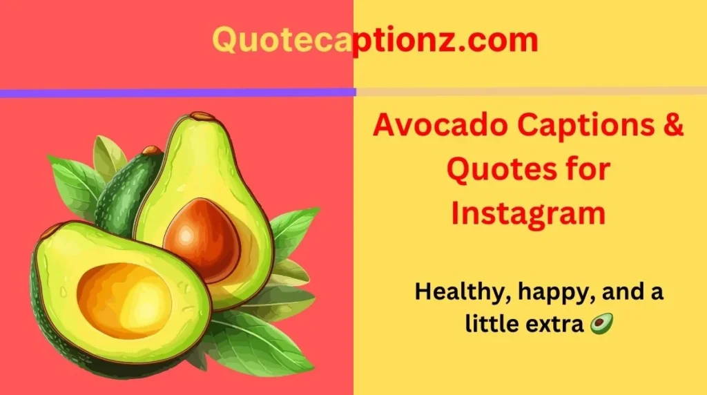 Avocado Captions & Quotes for Instagram