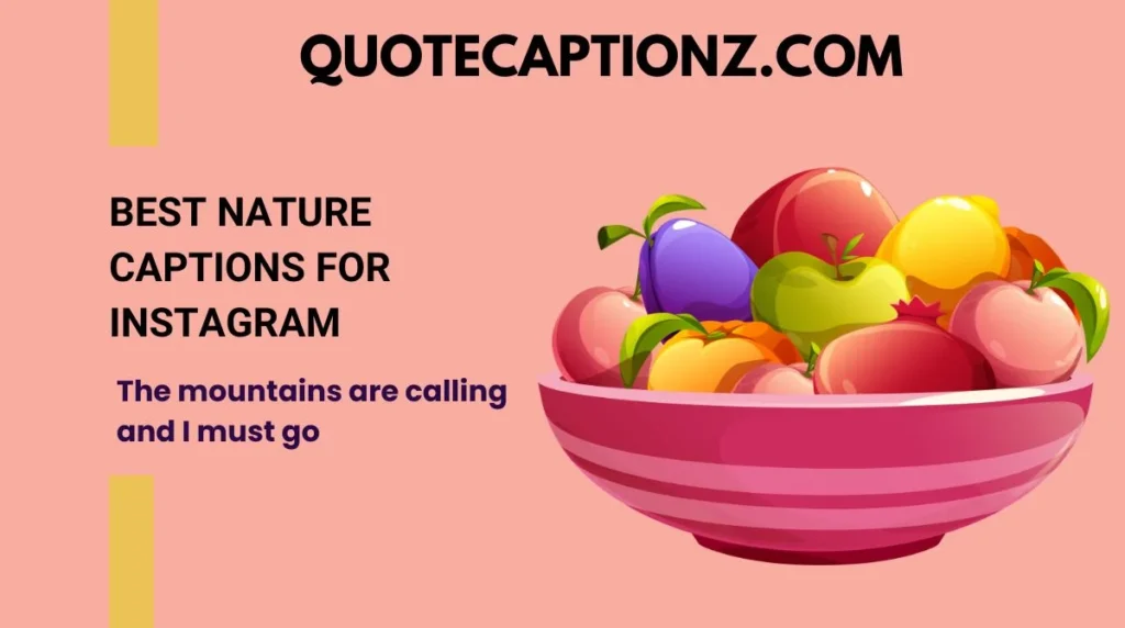 Best Nature Captions for Instagram