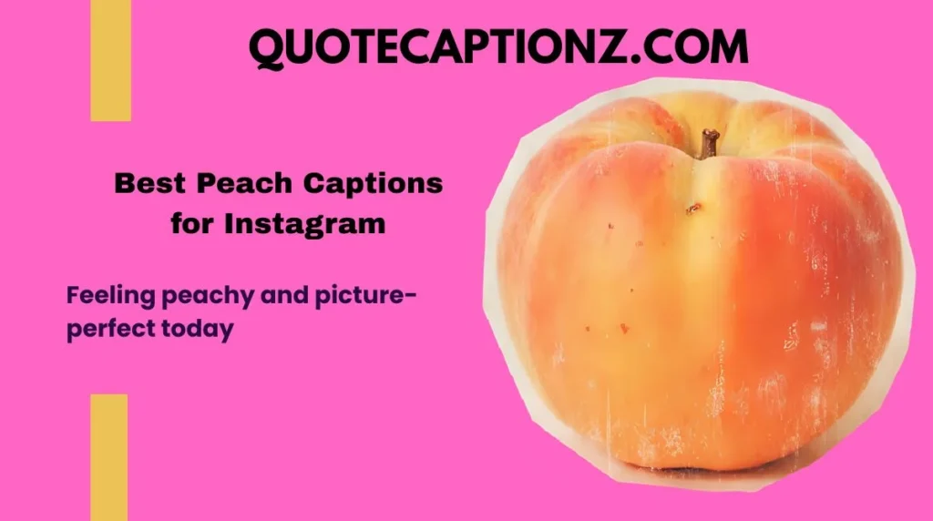 Feeling peachy and picture-perfect today