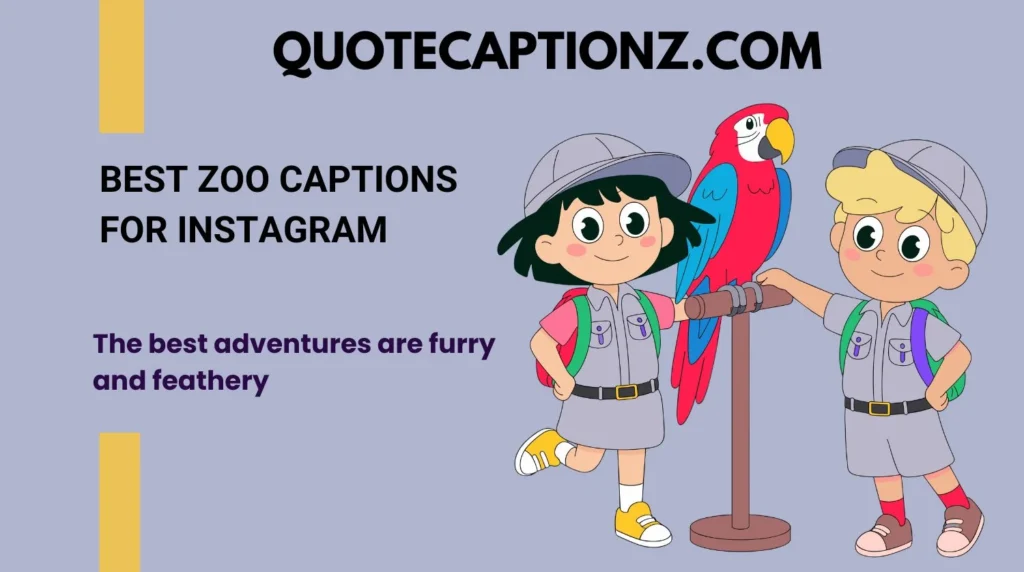 Best Zoo Captions for Instagram