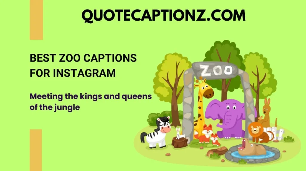 Best Zoo Captions for Instagram