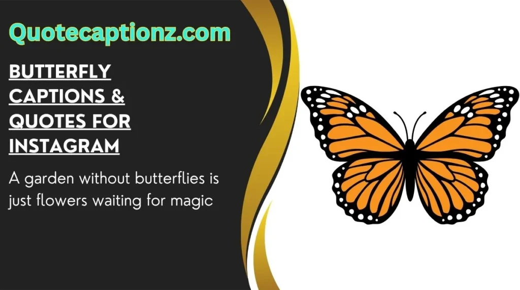 Butterfly Captions & Quotes for Instagram