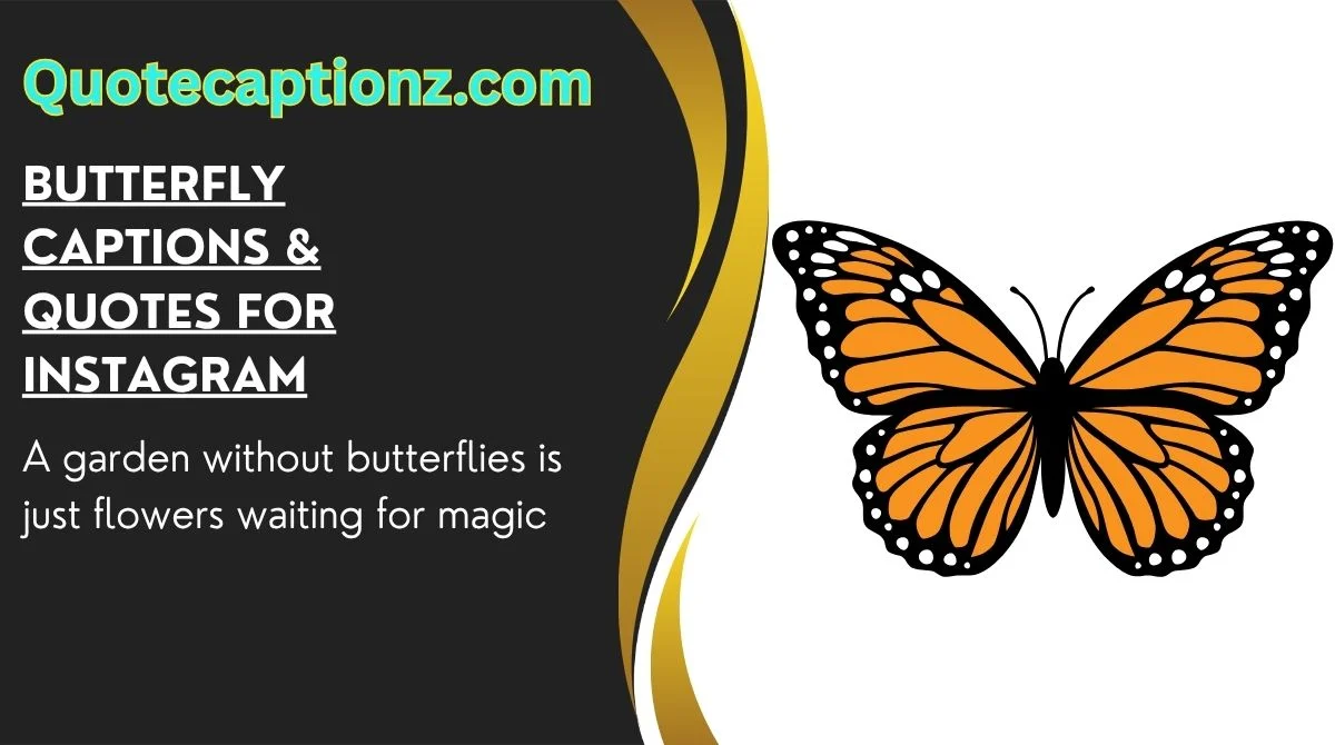 Butterfly Captions & Quotes for Instagram