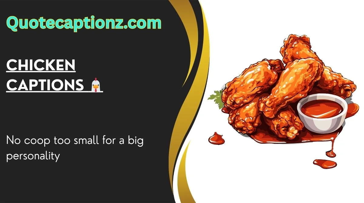 Chicken Captions 🐔