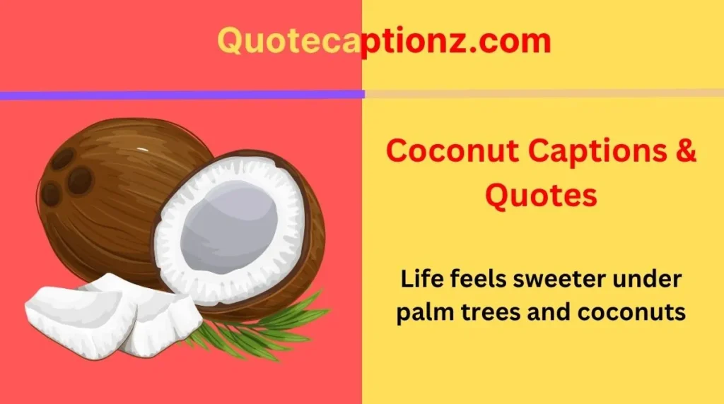 coconut-captions-and-quotes