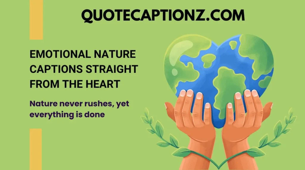 Emotional Nature Captions Straight from the Heart