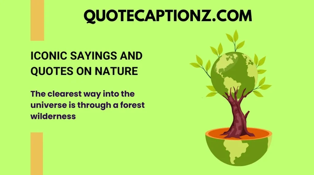 Iconic Sayings and Quotes on Nature