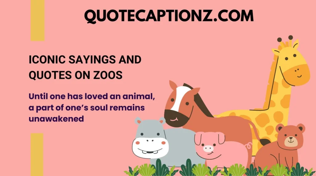 Iconic Sayings and Quotes on Zoos