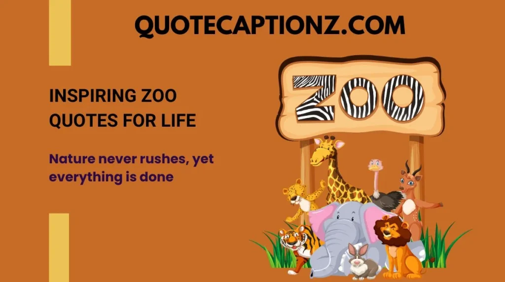 Inspiring Zoo Quotes for Life