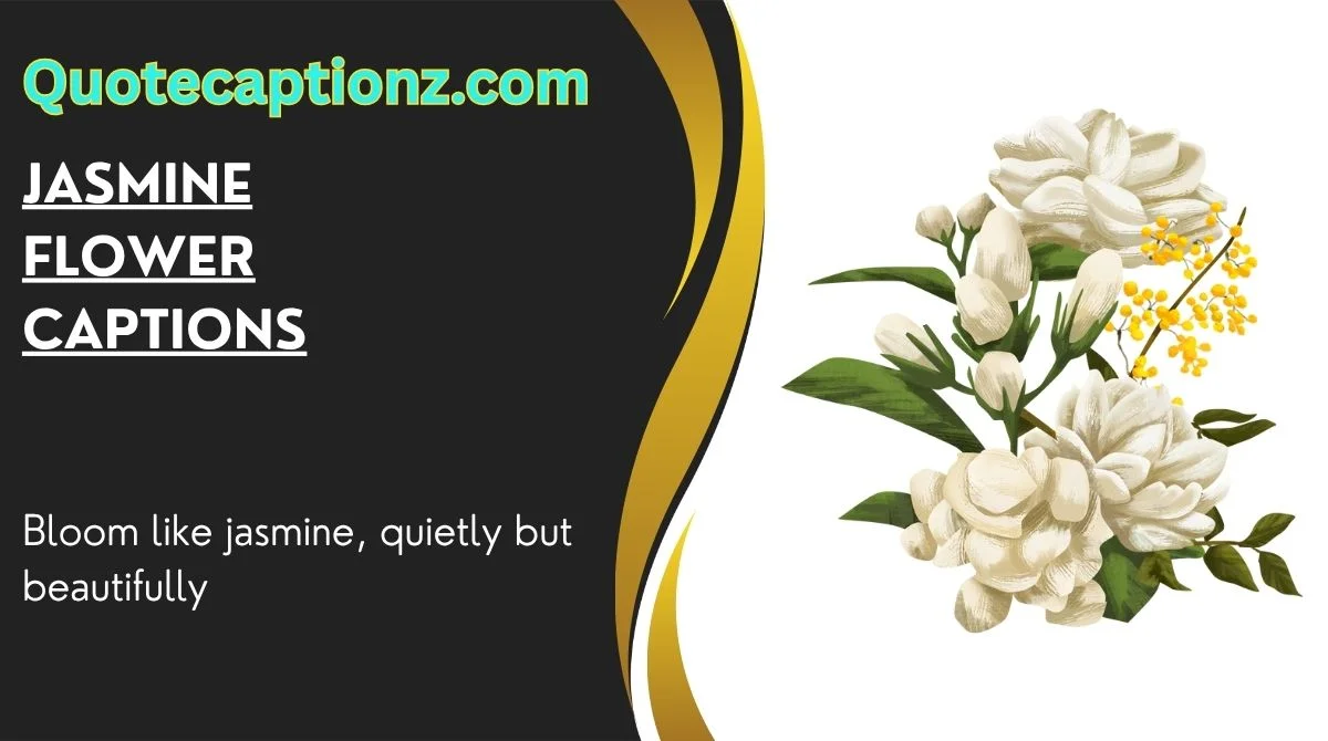 Jasmine Flower Captions