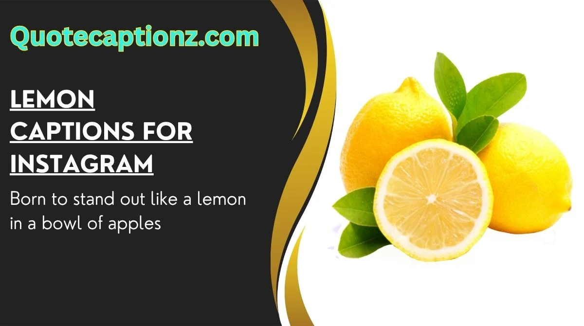 Lemon Captions for Instagram