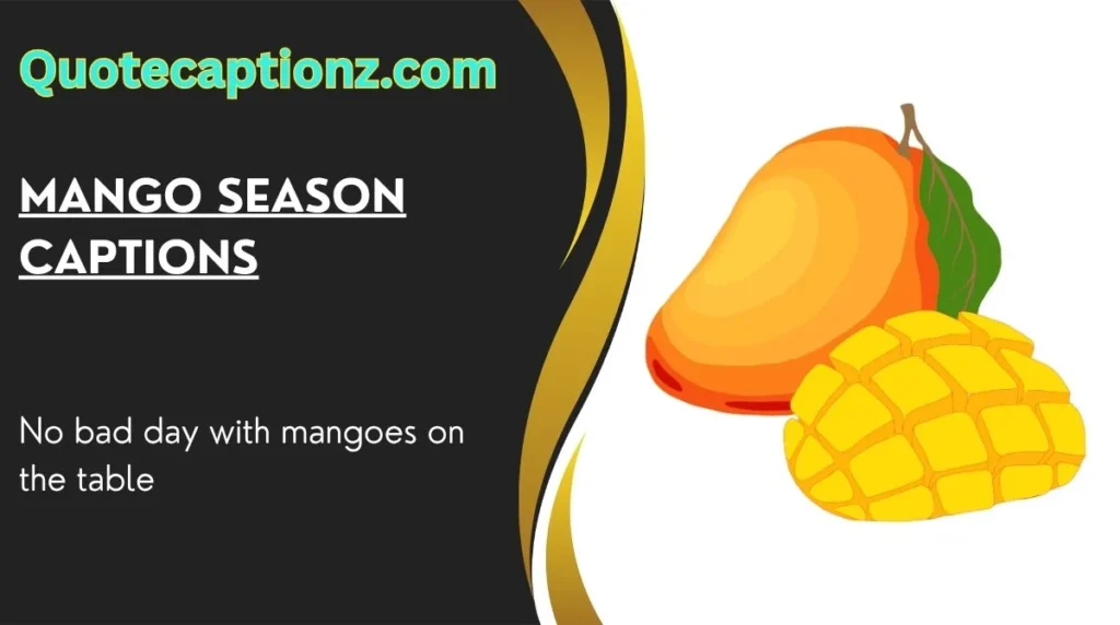 Mango Season Captions