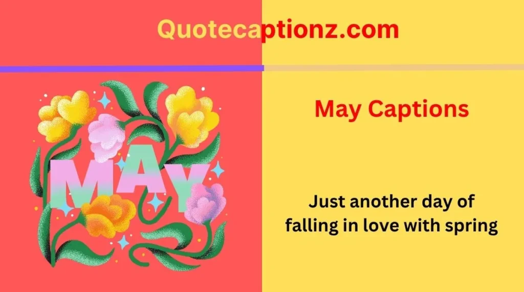 may-captions