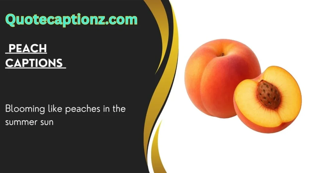 Blooming like peaches in the summer sun