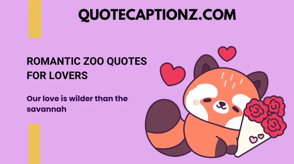 Romantic Zoo Quotes for Lovers
