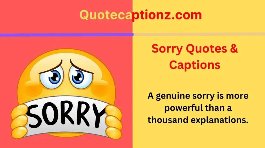 Sorry Quotes & Captions