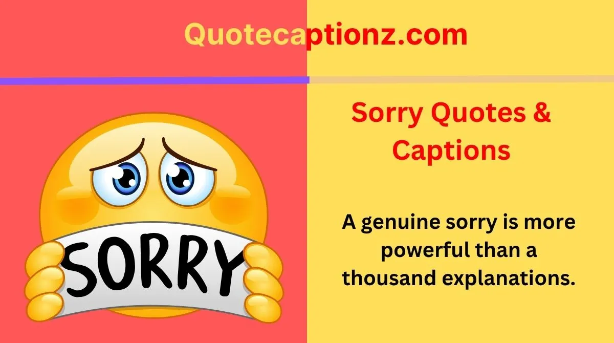 Sorry Quotes & Captions