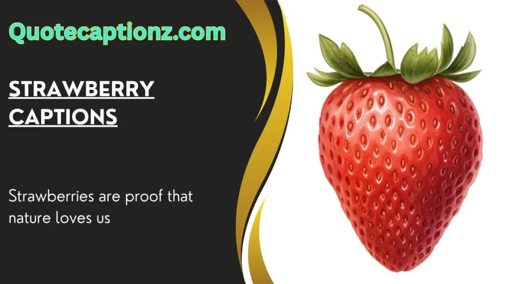 Strawberry Captions