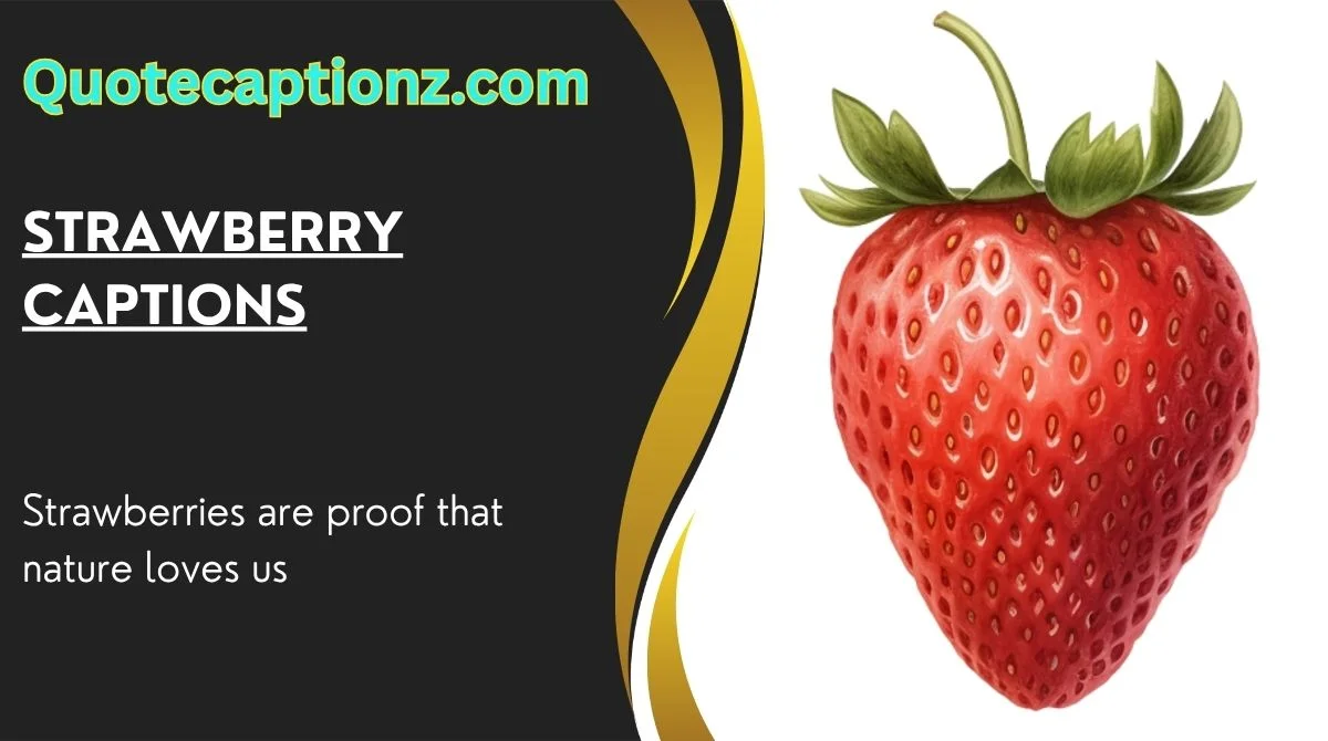 Strawberry Captions