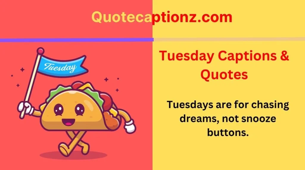 Tuesday Captions & Quotes