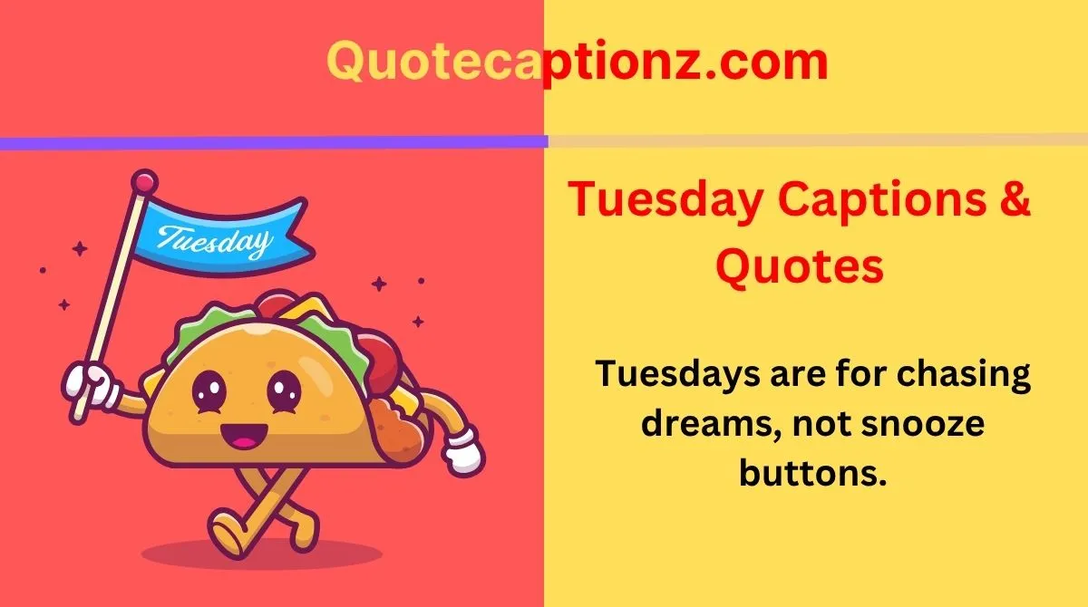 Tuesday Captions & Quotes