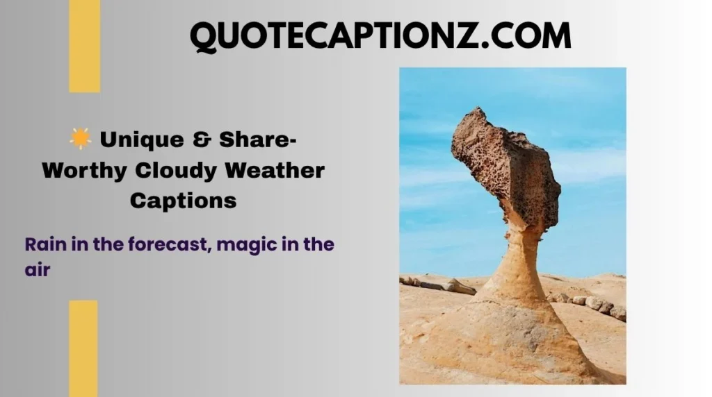 Rain in the forecast, magic in the air