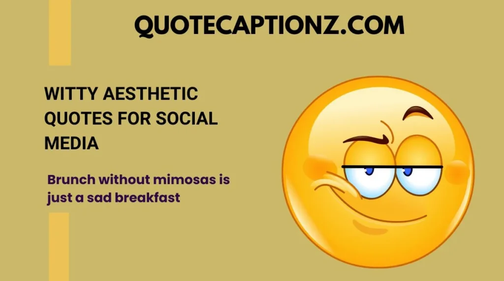 Witty Aesthetic Quotes for Social Media