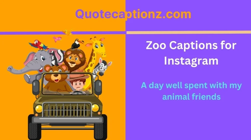 Zoo Captions for Instagram