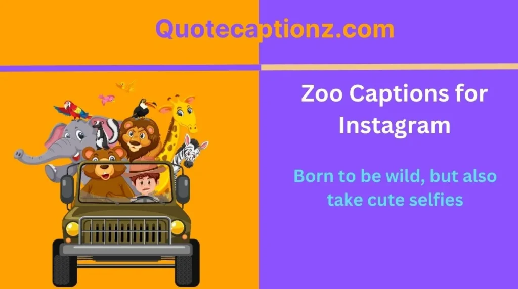 Zoo Captions for Instagram