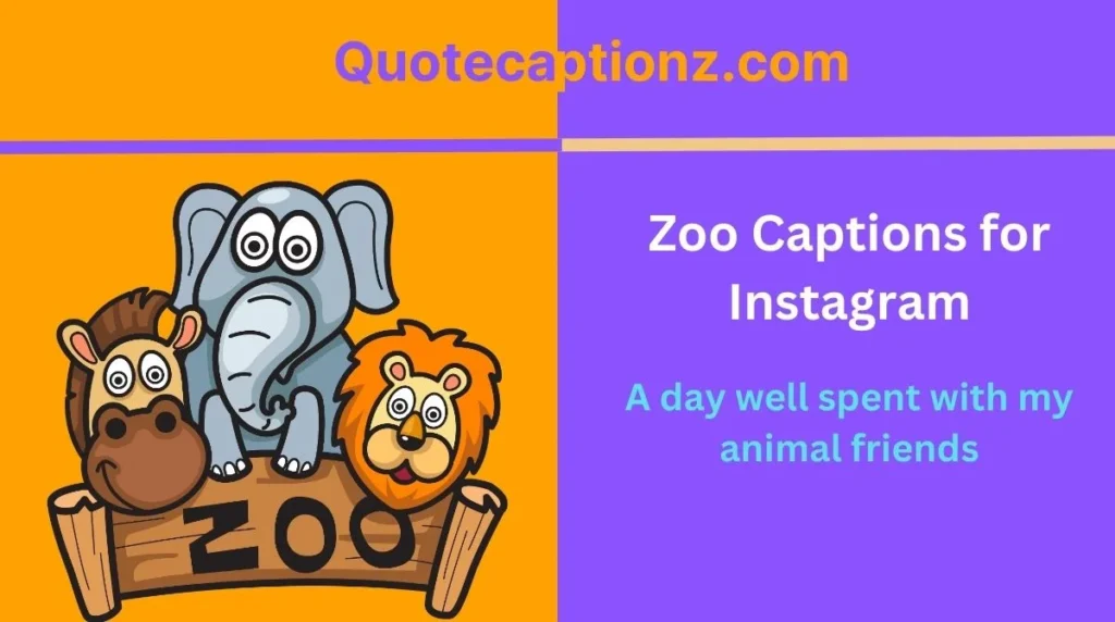 Zoo Captions for Instagram