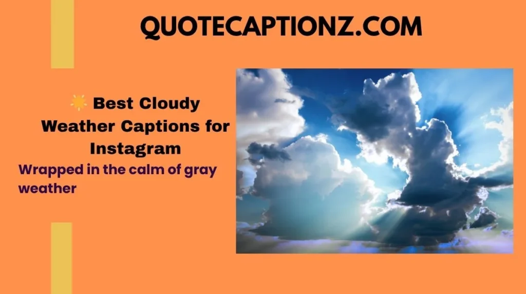 Wrapped in the calm of gray weather