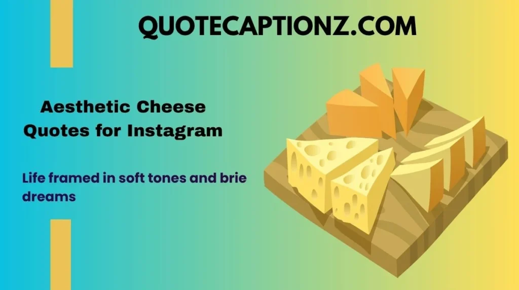 Aesthetic Cheese Quotes for Instagram