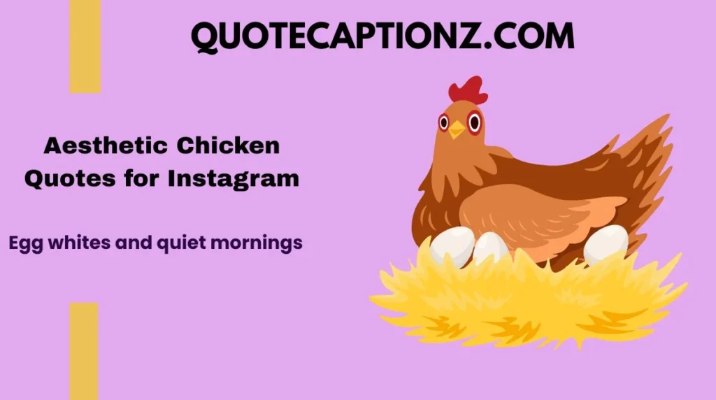 Aesthetic Chicken Quotes for Instagram