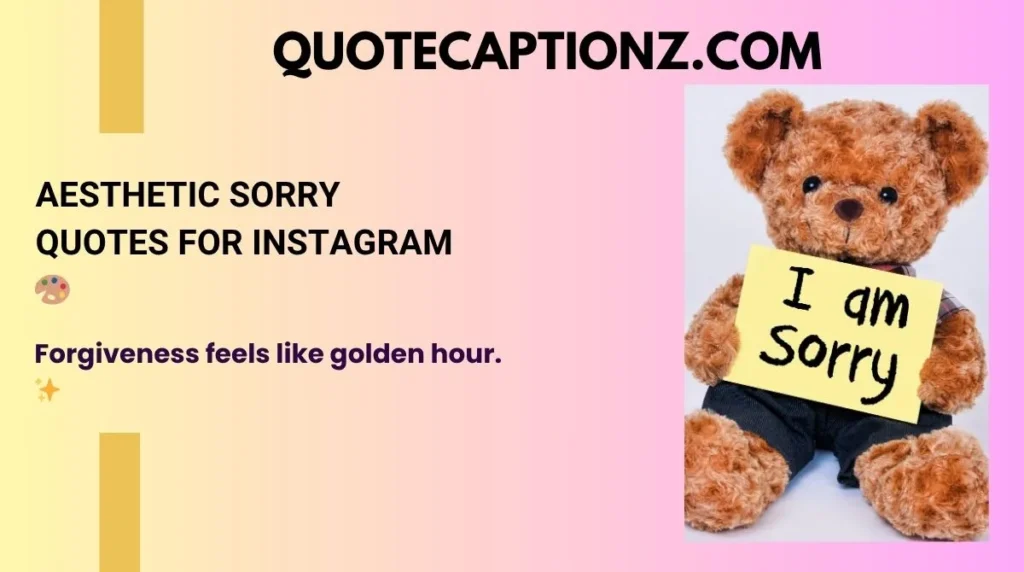Aesthetic Sorry Quotes for Instagram ๐จ