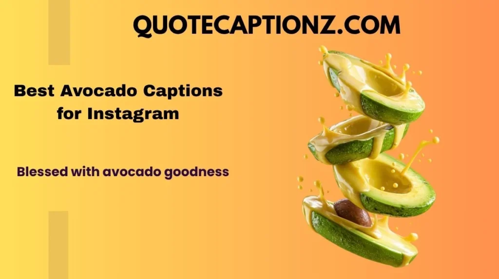 Best Avocado Captions for Instagram