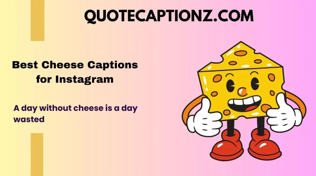 Best Cheese Captions for Instagram