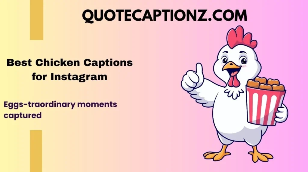 Best Chicken Captions for Instagram
