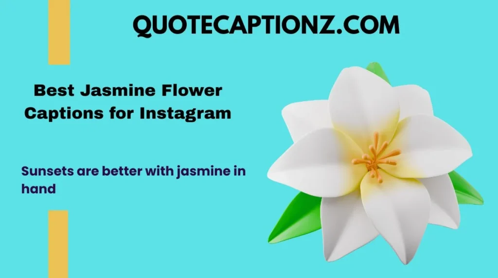 Best Jasmine Flower Captions for Instagram