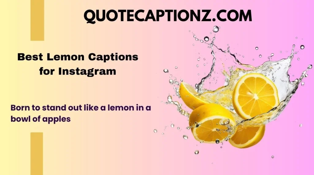 Best Lemon Captions for Instagram