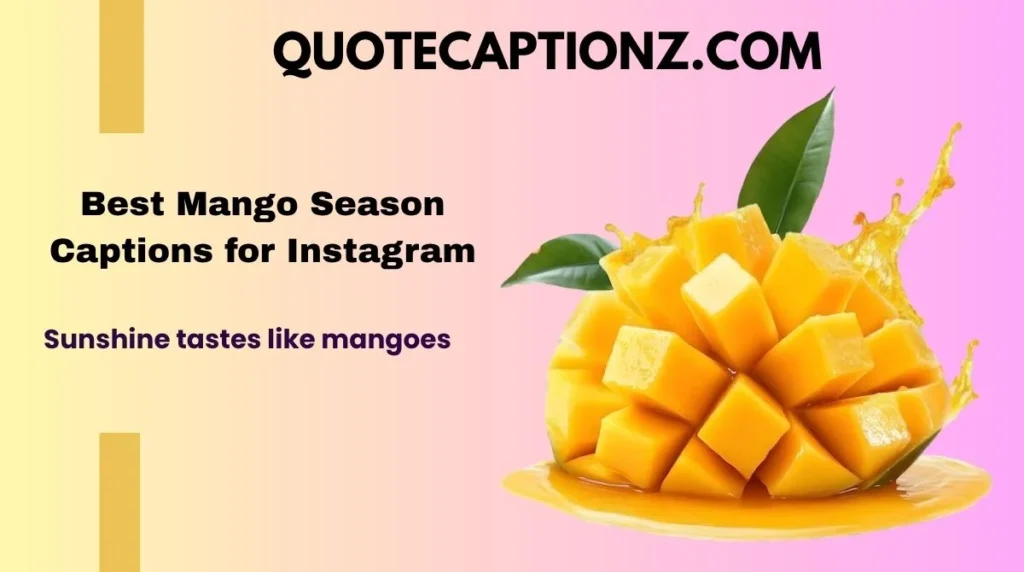 Best Mango Season Captions for Instagram