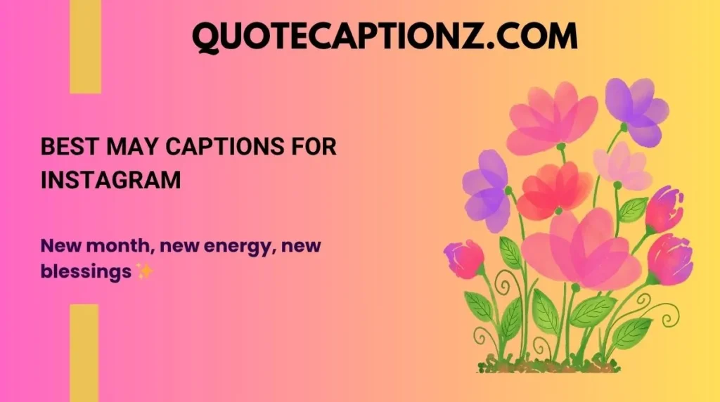 Best May Captions for Instagram