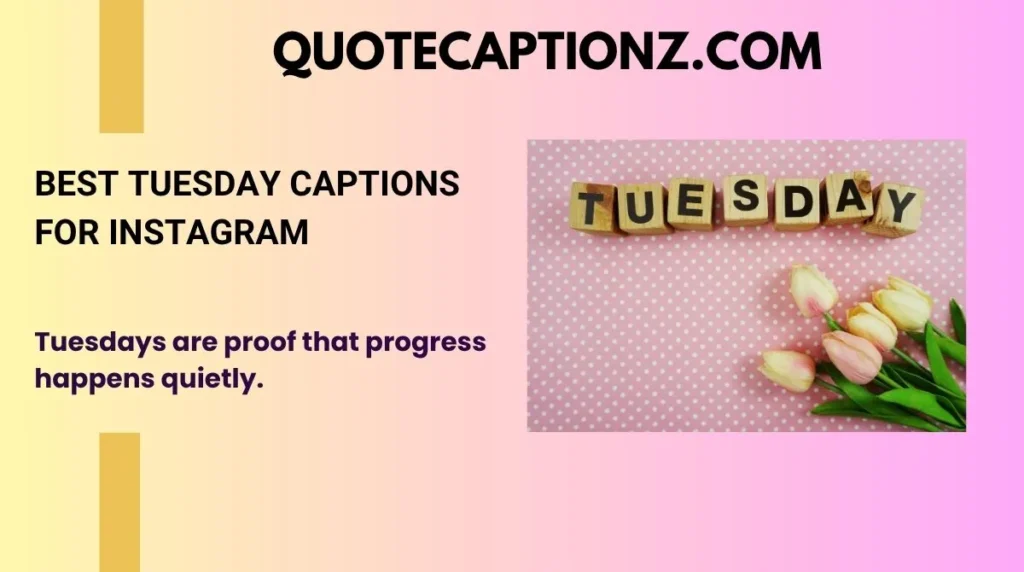 Best Tuesday Captions for Instagram