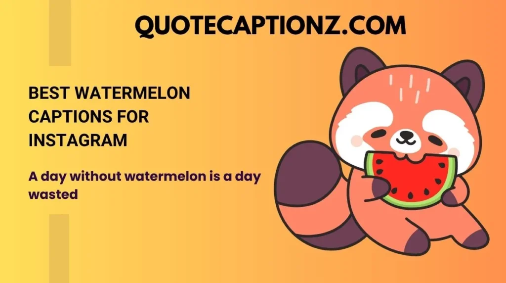 Best Watermelon Captions for Instagram