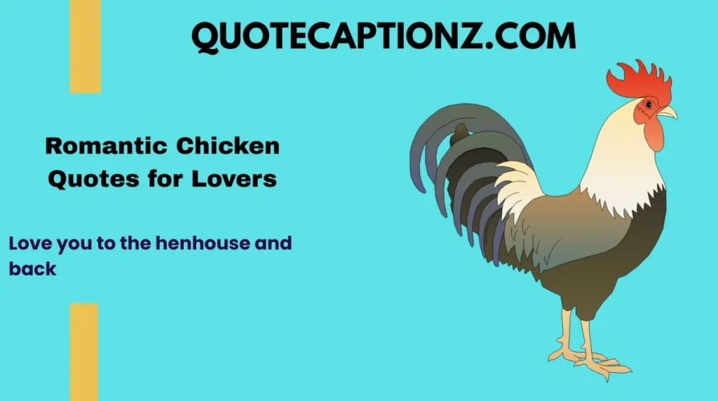 Romantic Chicken Quotes for Lovers
