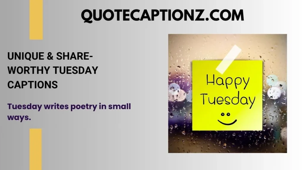Unique & Share-Worthy Tuesday Captions